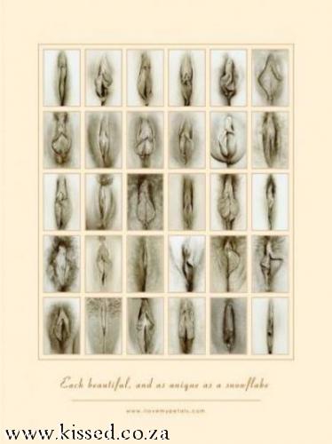 petals_bwposter576x768-400x534