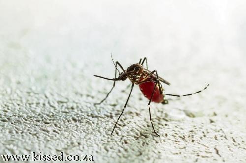 547f6788568e258d2b000002