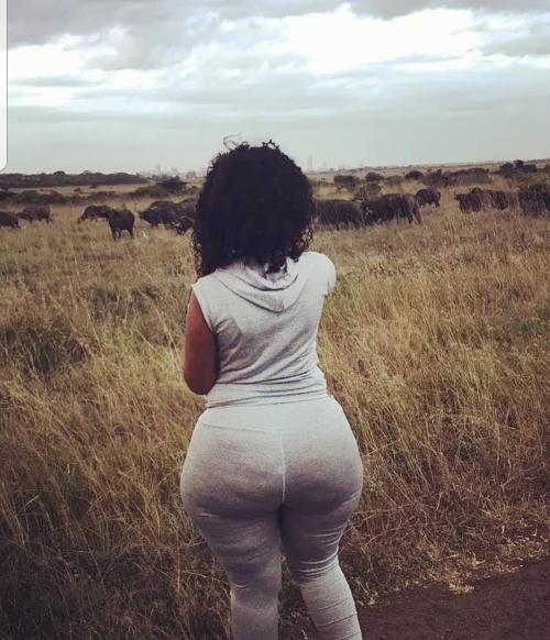 Screenshot_20190312-143055_Tumblr