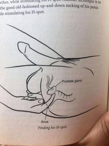 FB_IMG_15844759719069787