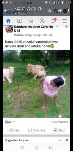 Screenshot_20220320-164758