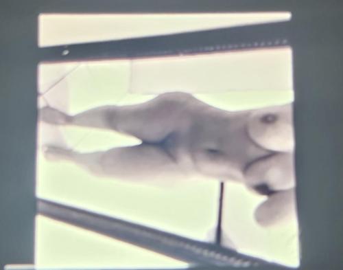 20260719_183544