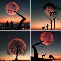 NightSky