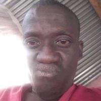 Aviwe Mehlo