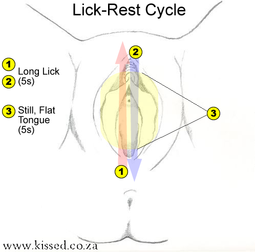 Blow Job Instructions(4)