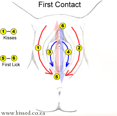 Blow Job Instructions(2)