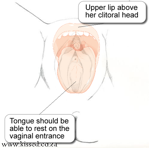 Blow Job Instructions(1)