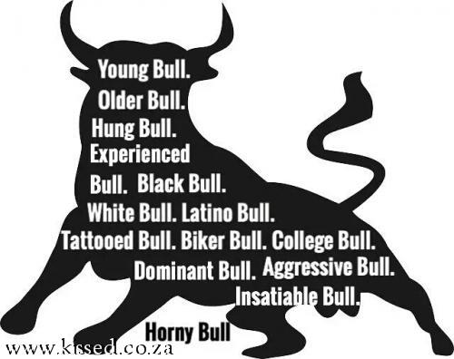 BULLS AROUND THE WORLD