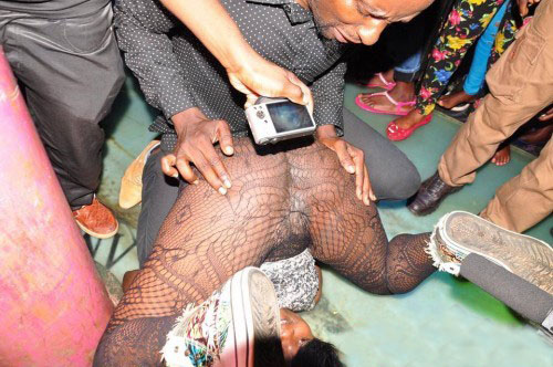 5267440_orig-500x332