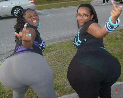 Big Booty Gals