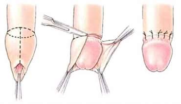 14192617_282754425443545_4313291486868831019_n