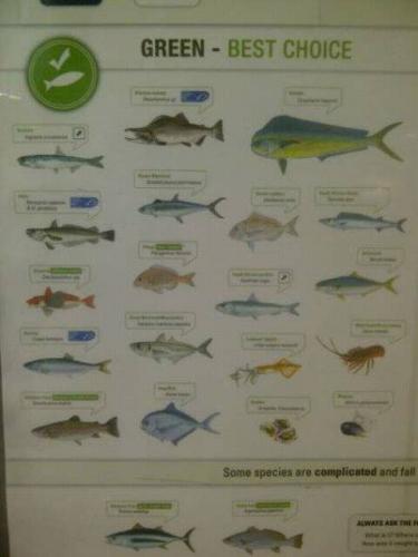 FB_IMG_14656237742980779