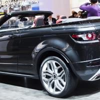 nkunzi