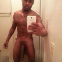 stallion_dick